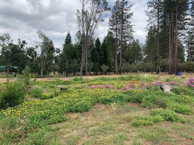 Building Photo - Breathtaking Paradise Retreat: Modern Home with Stunning Canyon Views and Next to Billie Park!