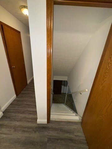 Building Photo - 2459 Breathstone Dr
