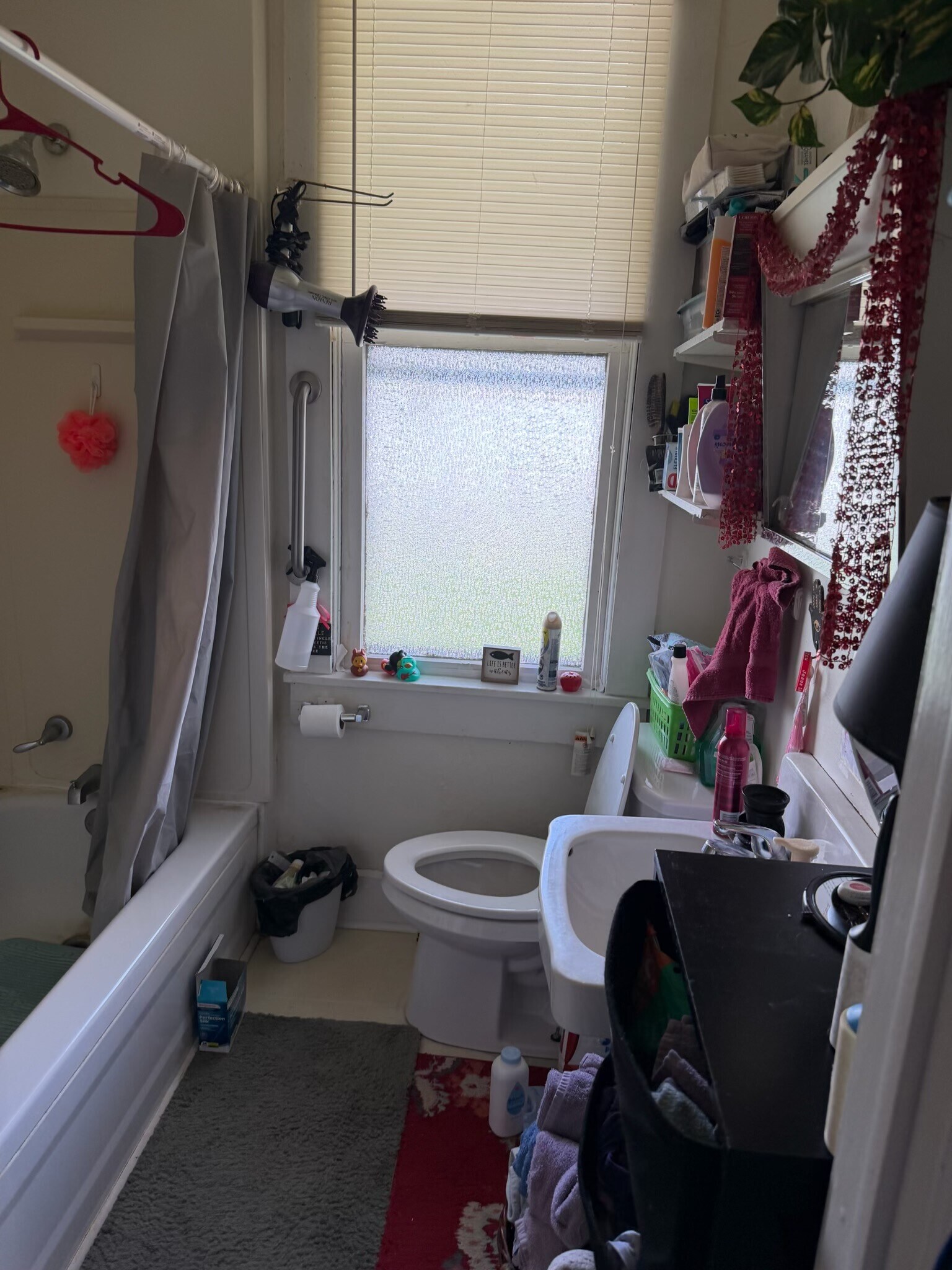 Building Photo - 1510 Alabama St