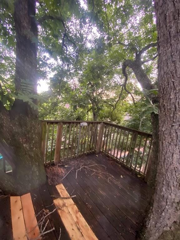 Building Photo - 4425 Ione St