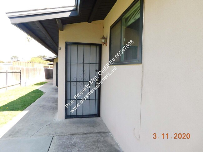 Primary Photo - P54500