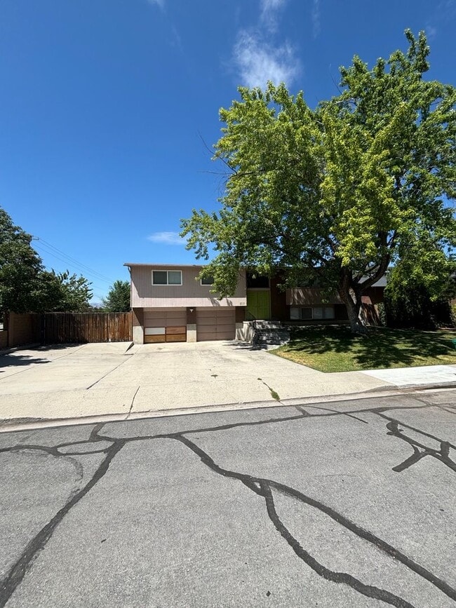 Primary Photo - Nice and Spacious Orem Home