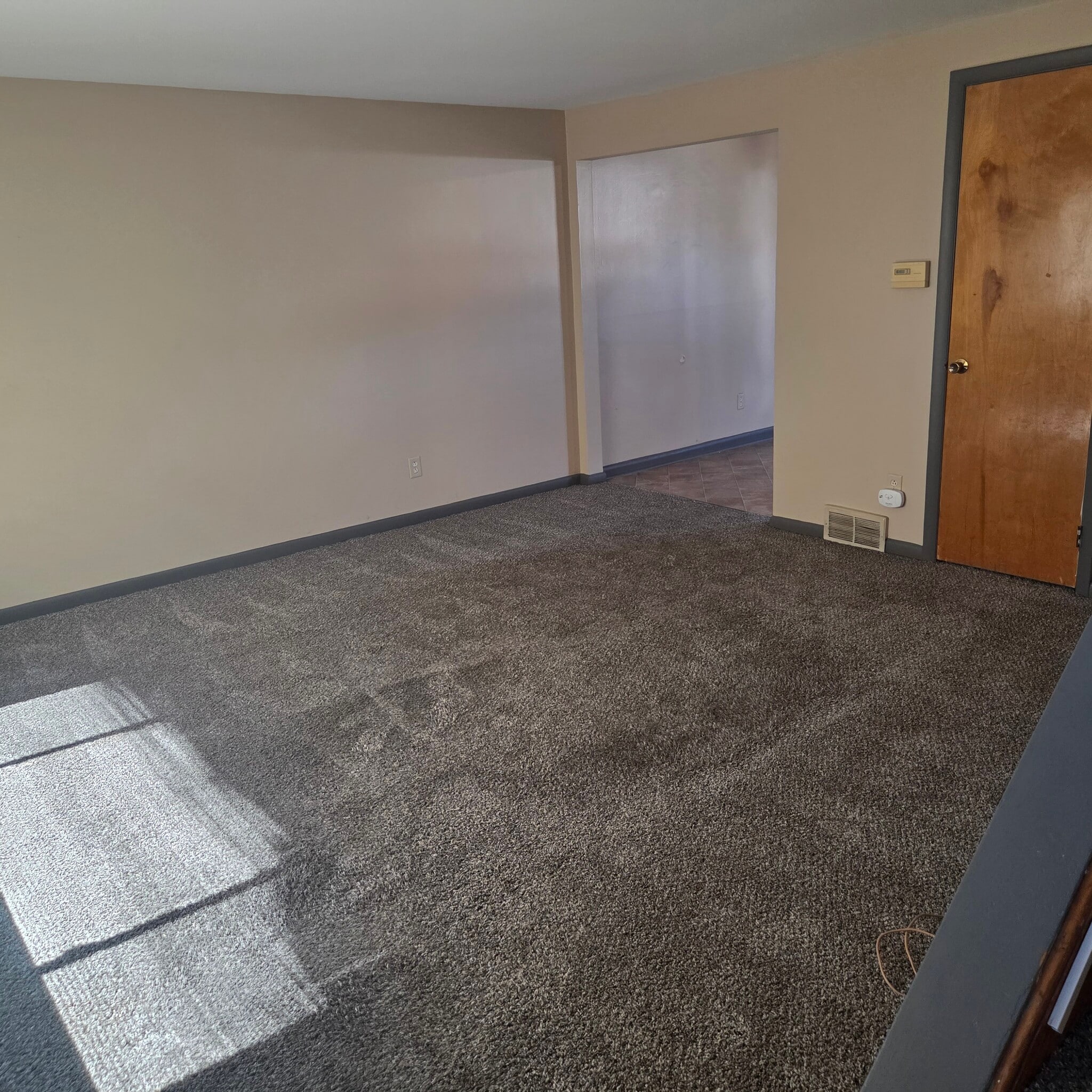 Living Room - 245 Greenmeadow Dr