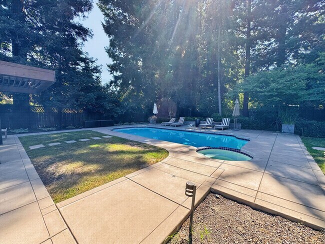 Building Photo - Gorgeous 4 Bedroom PLUS Spacious Bonus Room with Pool in Desired Alamo Neighborhood Available Now!