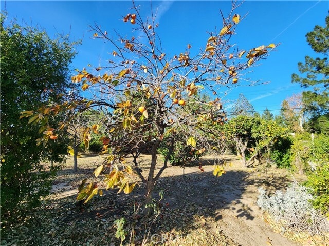 Building Photo - 17449 Donmetz St