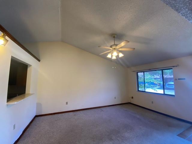 Building Photo - 1255 Shady Pines Ln