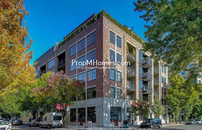 Primary Photo - Vibrant One Bedroom Loft w/ City Views In ...