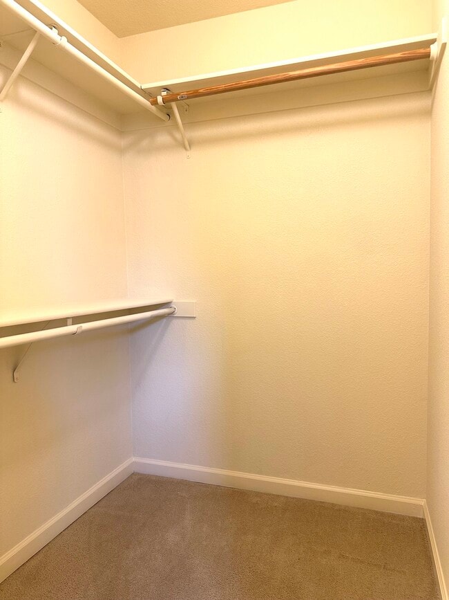 Building Photo - 238 Westbury Ln