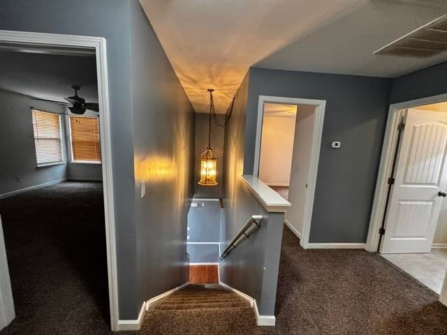Building Photo - 915 Oglethorpe Dr