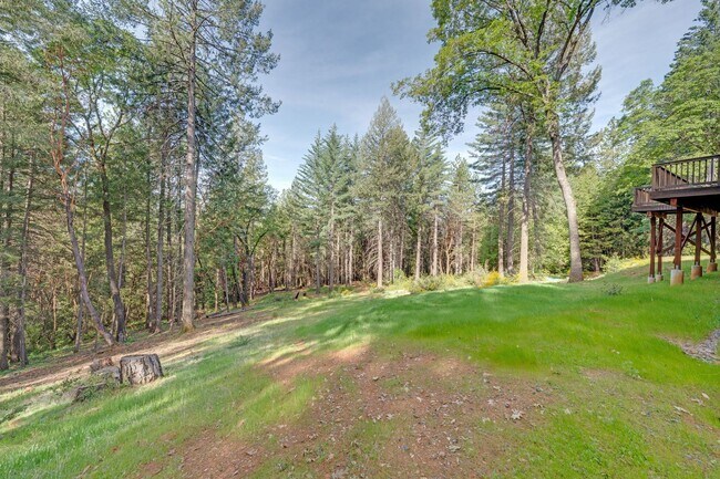 Building Photo - Updated Georgetown Home on 5 Acres with Huge Deck!