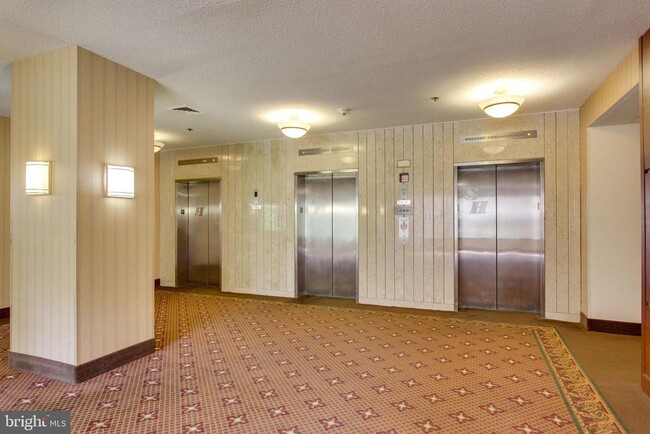 Building Photo - 3713 S George Mason Dr