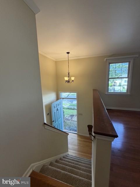 Building Photo - 917 Chowning Dr