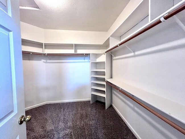 Building Photo - 5 Bedroom Home with a POOL in Folsom