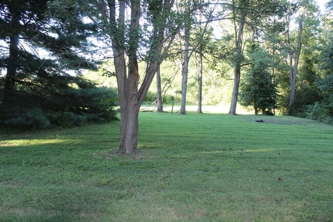 Building Photo - Price Reduced! Stunning Custom 4 Bedroom Home in Plainfield!