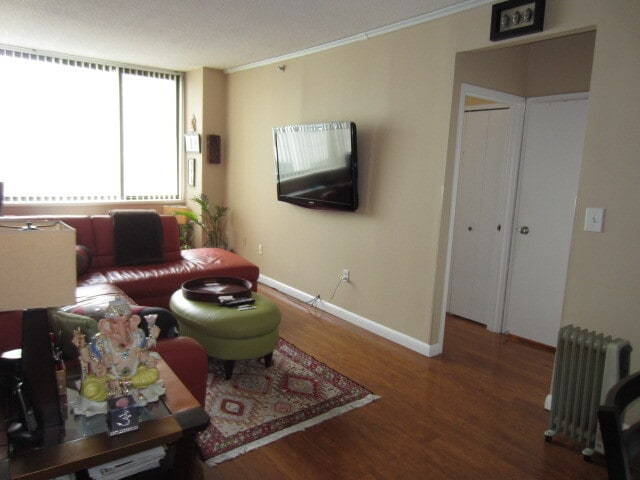 Living Room-B - 45 River Dr S