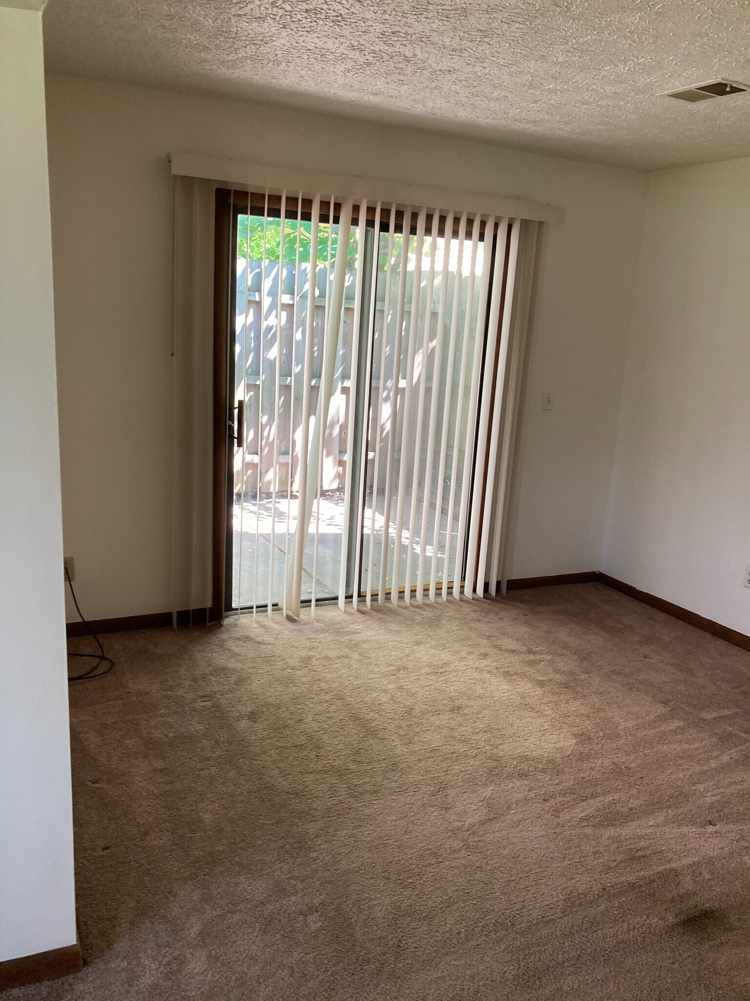 patio outside livingroom - 203 S Center St