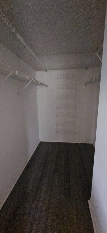 Building Photo - 3670 Alder Dr