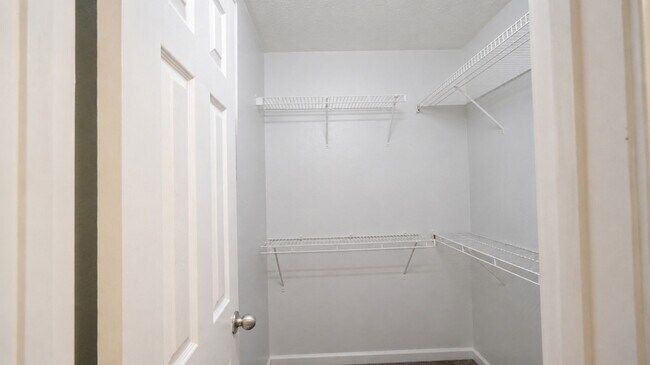 Building Photo - 3166 Prater Ct