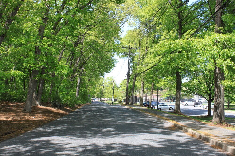main road, townhouse parking is on the right. - 10 Village Brook Ln