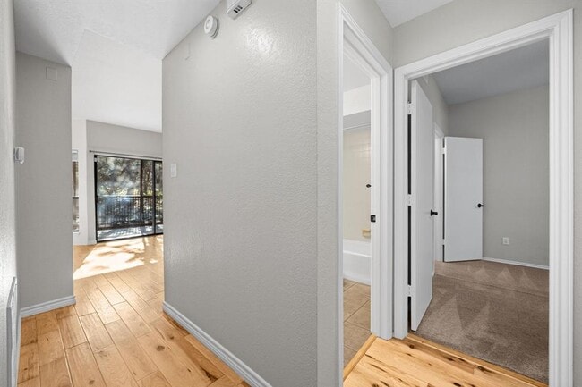 Building Photo - 4711 Spicewood Springs Rd