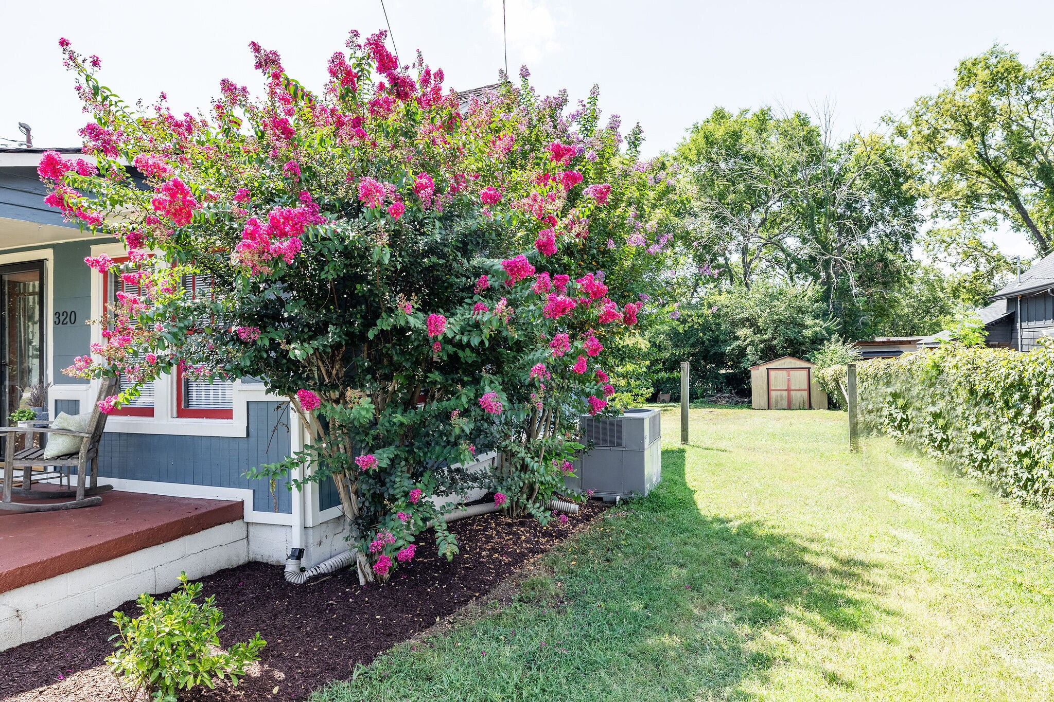 Driveway area - 320 Cherry St