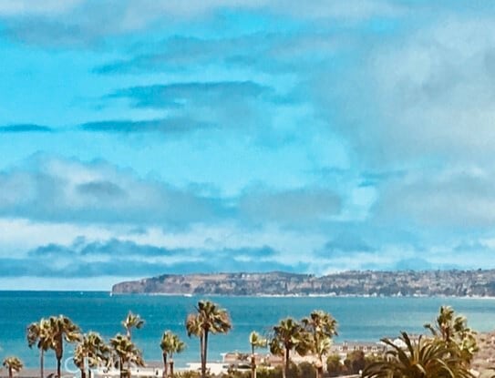 Primary Photo - 1541 Buena Vista