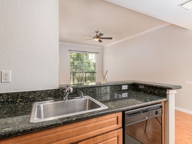 Building Photo - South Tampa