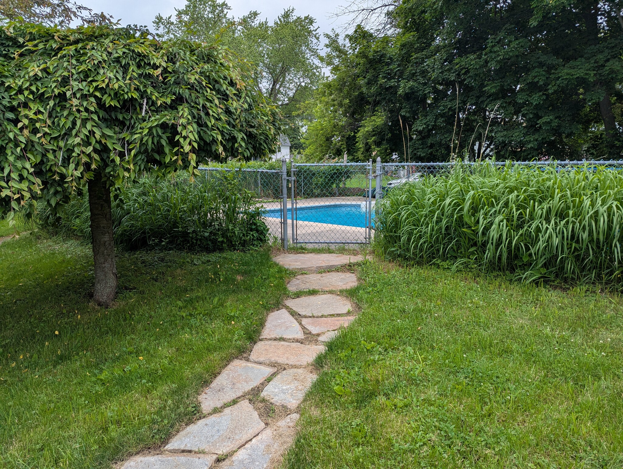 Shared Pool - 154 Beach St