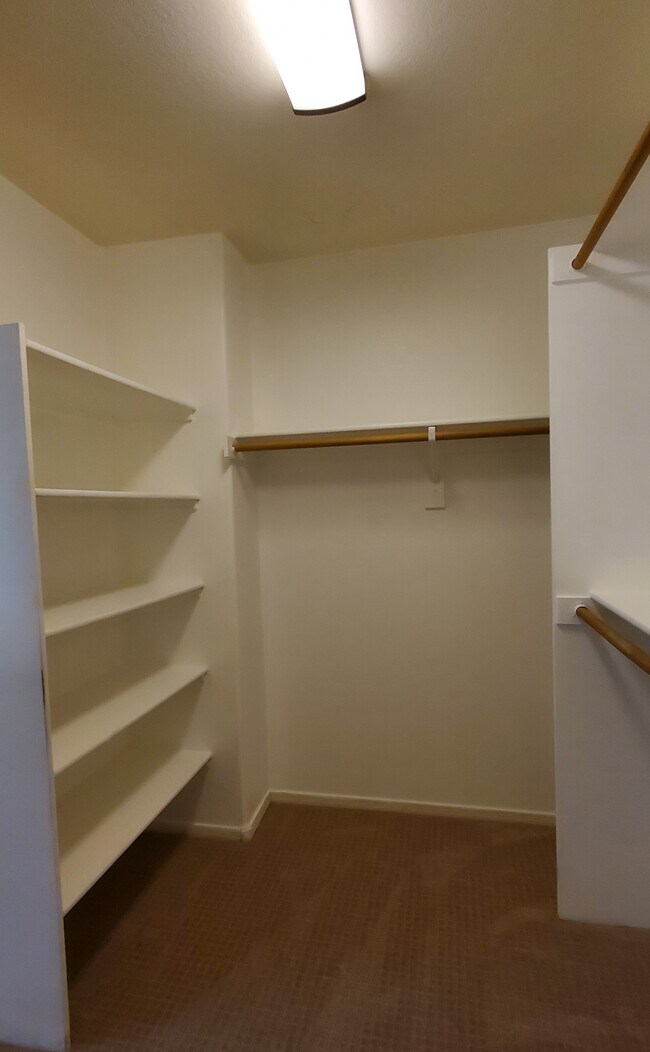 Master Walk-In Closet - 4167 E Sundance Ave