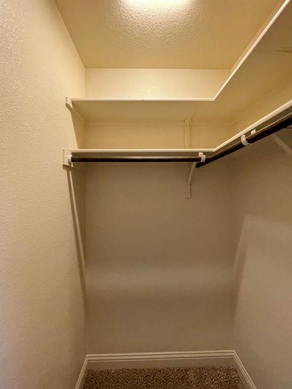 Building Photo - 433 Mistflower Springs Dr