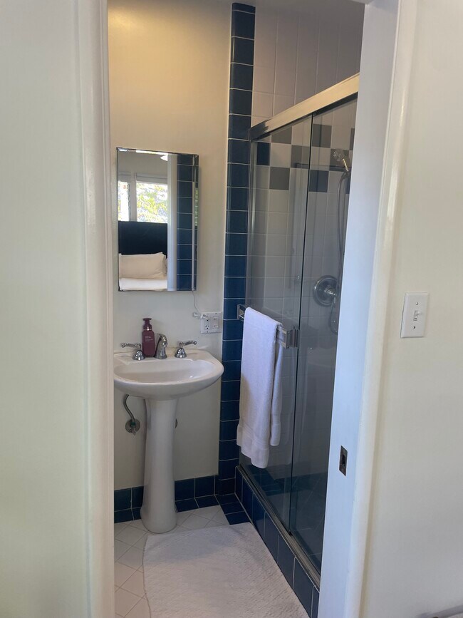 Master bathroom - 2729 Palos Verdes Dr N
