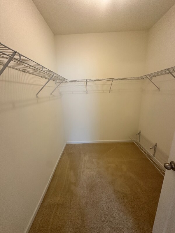 Building Photo - 59 Silver Maple Ln
