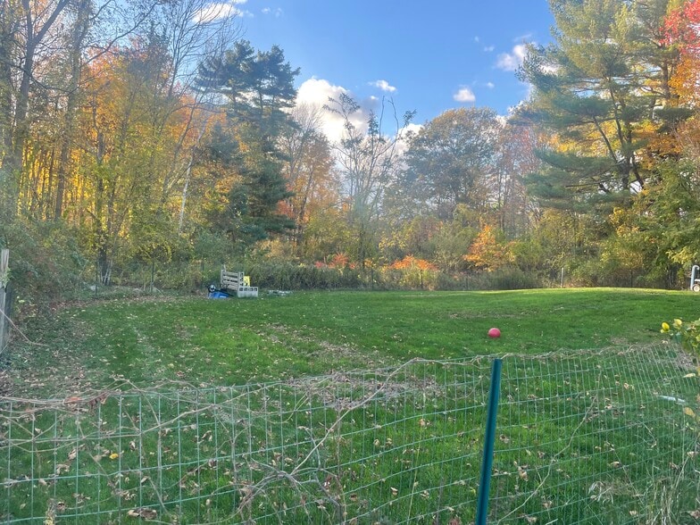 Back yard - 583 Main St