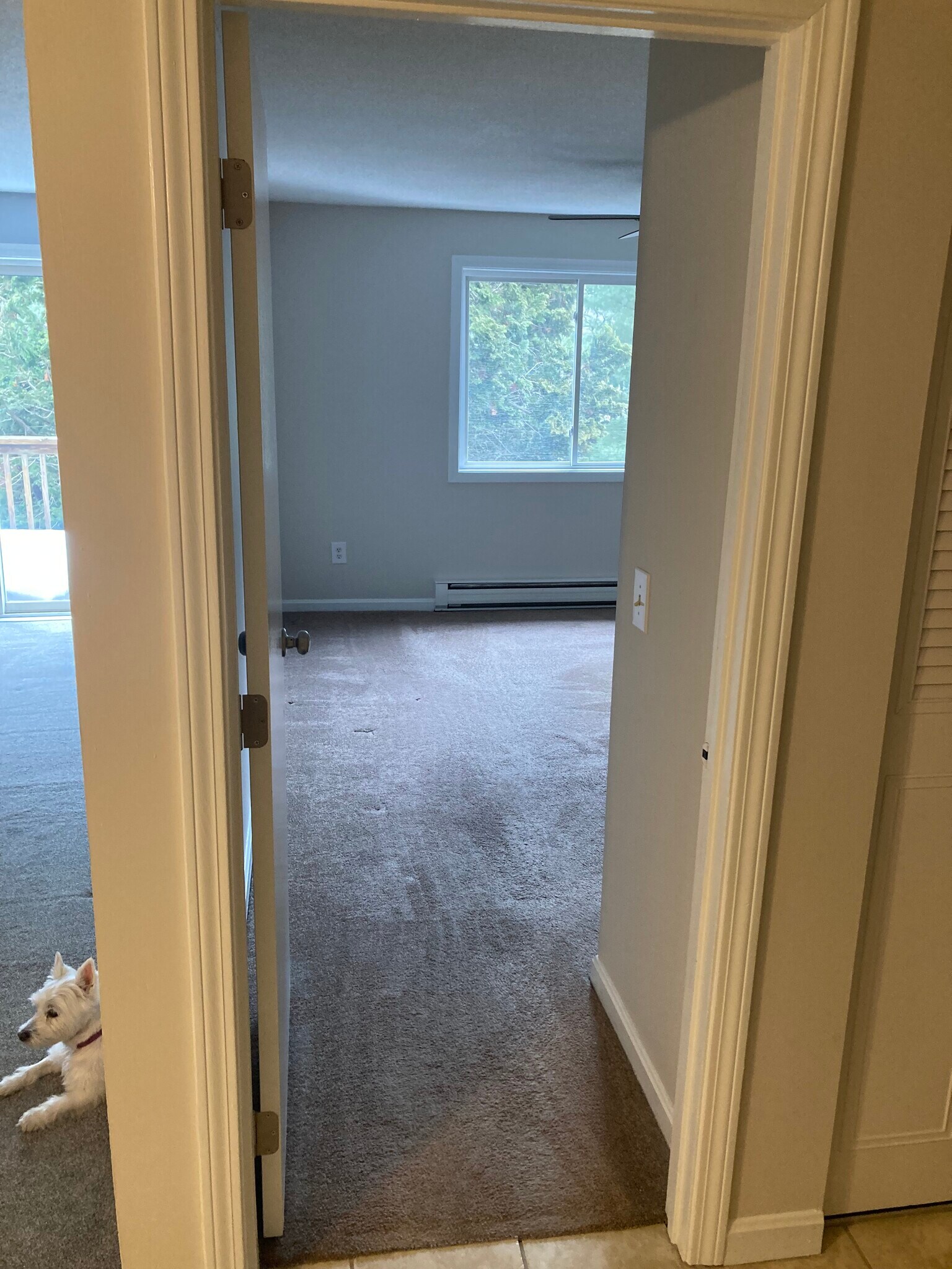 Bedroom - 1560 Douglas Ave