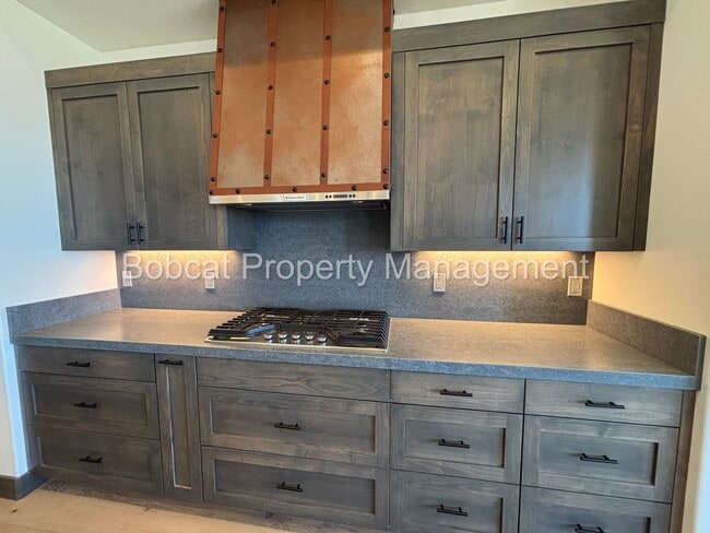 Building Photo - Brand New, Mountain Modern Home on Genoa R...