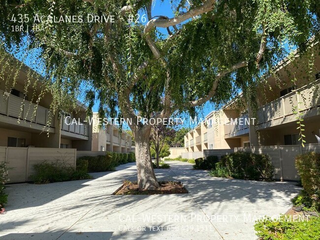 Building Photo - Large 1 bed 1 bath 2nd flr apt