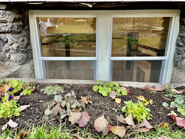 View into main living area with baby plants. Homeowner maintains! - 1401 W 13th Ave