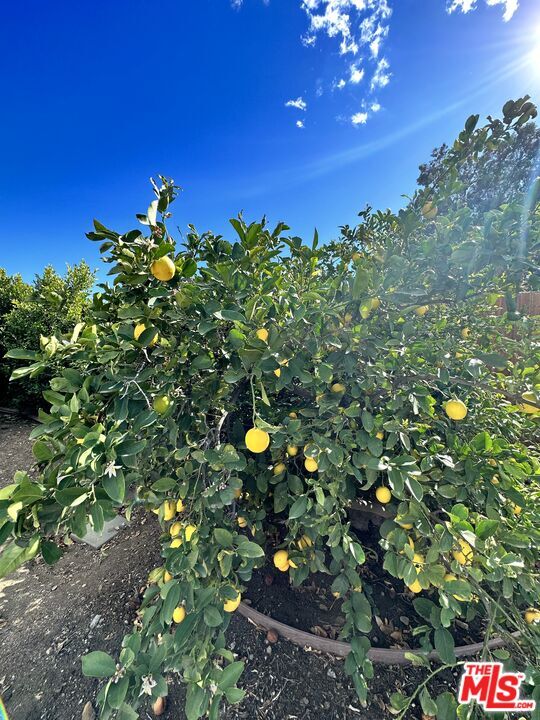 Building Photo - 10850 Remmet Ave