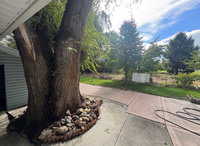 Building Photo - Cute Lehi rambler with tons of yard space and trees!