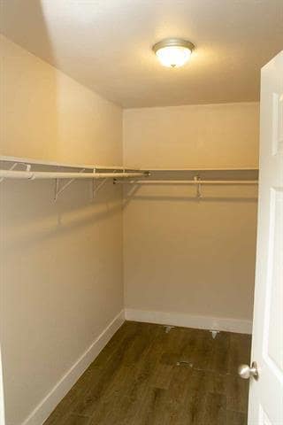 Building Photo - 907 Meriott St