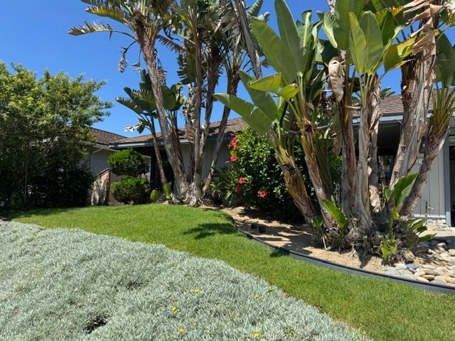 Building Photo - 7441 Trigo Ln