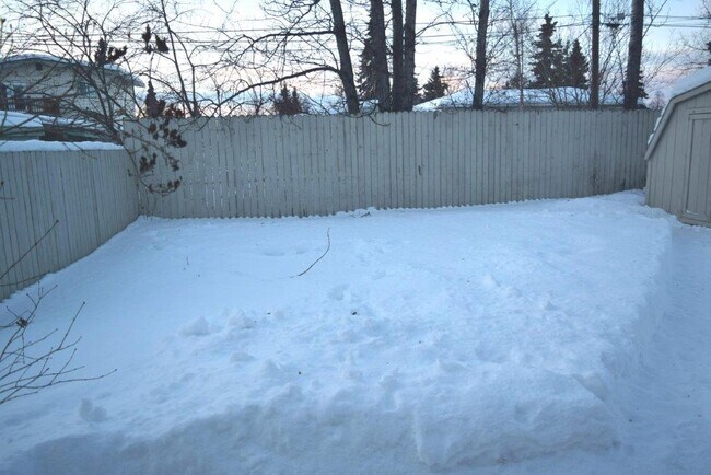 yard - 720 Dogwood St