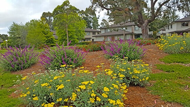 Building Photo - Beautiful Capitola Condo minutes from Capitola Village!