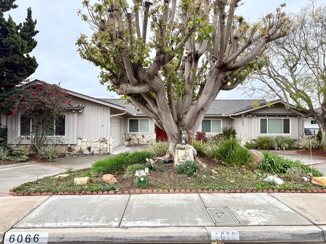 Building Photo - Million Dollar Views in Del Cerro