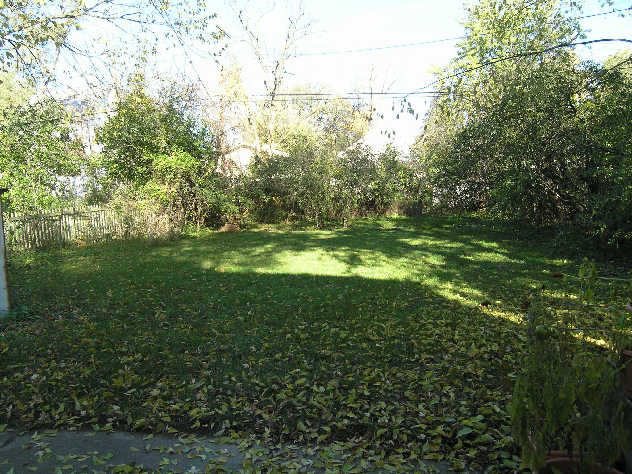 Back Yard - 1343 Rosewood St