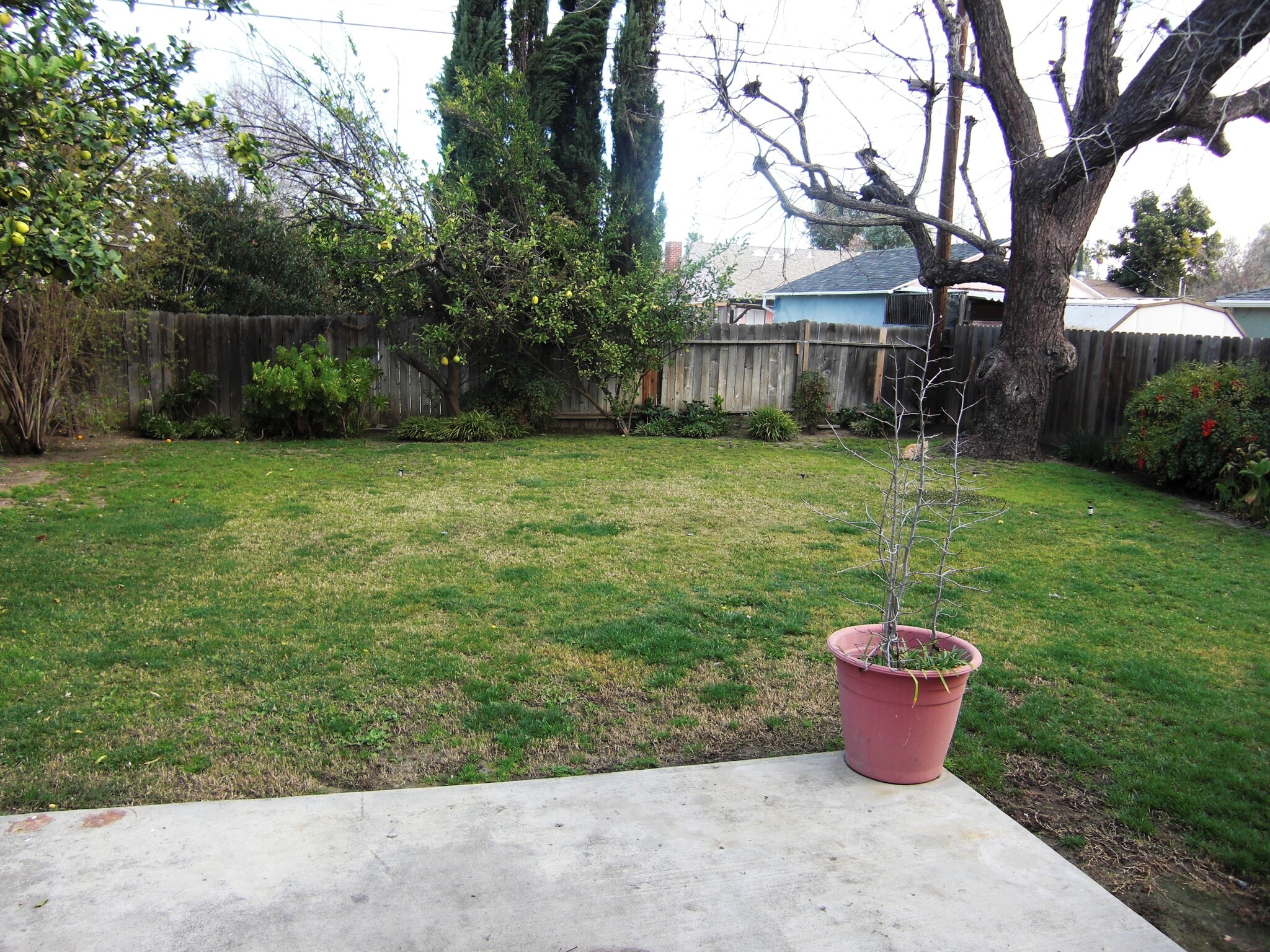 Building Photo - 22451 Dolorosa St