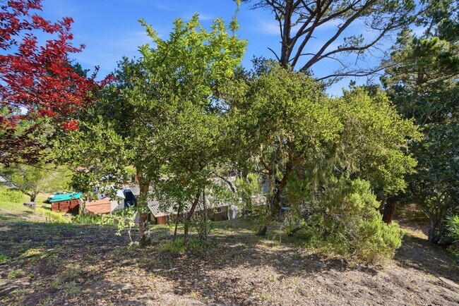 Building Photo - Lovely Monterey Single Family Home in the Mar Vista Neighborhood! (UNFURNISHED)