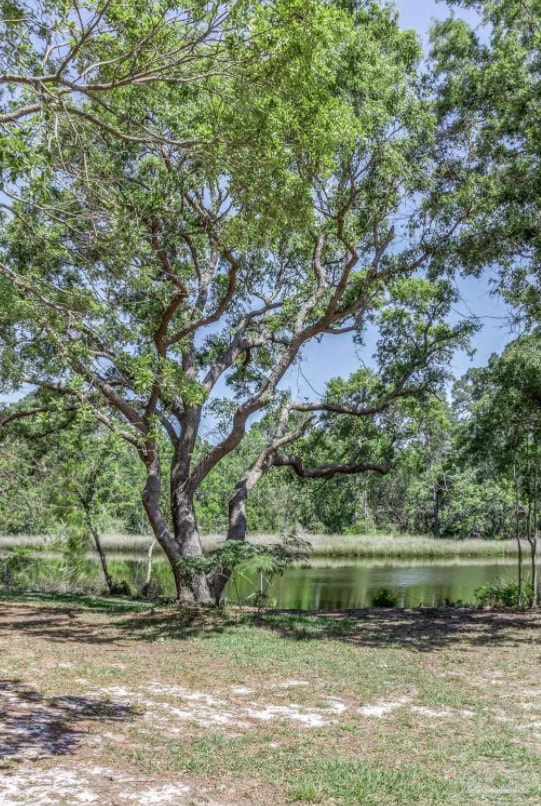 Building Photo - Beautiful Water-View 2BR/2BA Townhome – Flexible Leases, Pet Friendly, and ½ Off Deposit for Acti...