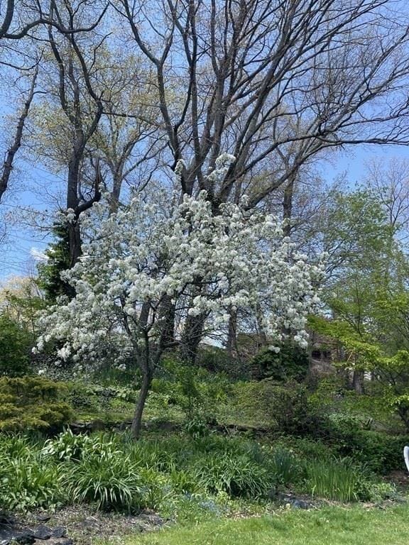 Building Photo - 1168 Grafton St