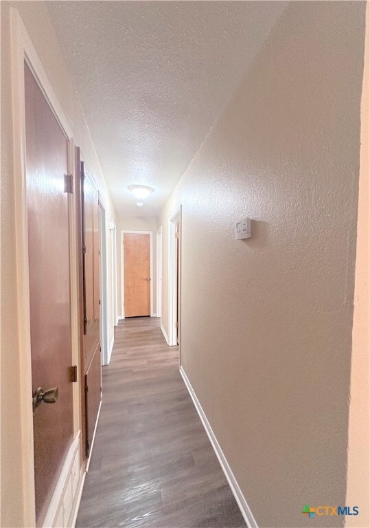 Building Photo - 2204 Phyllis Dr